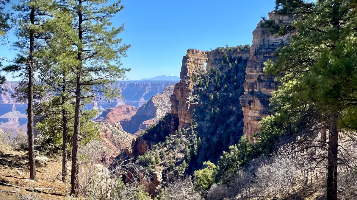 Grand Canyon National Park Announces 2026 North Rim Summer Season Access