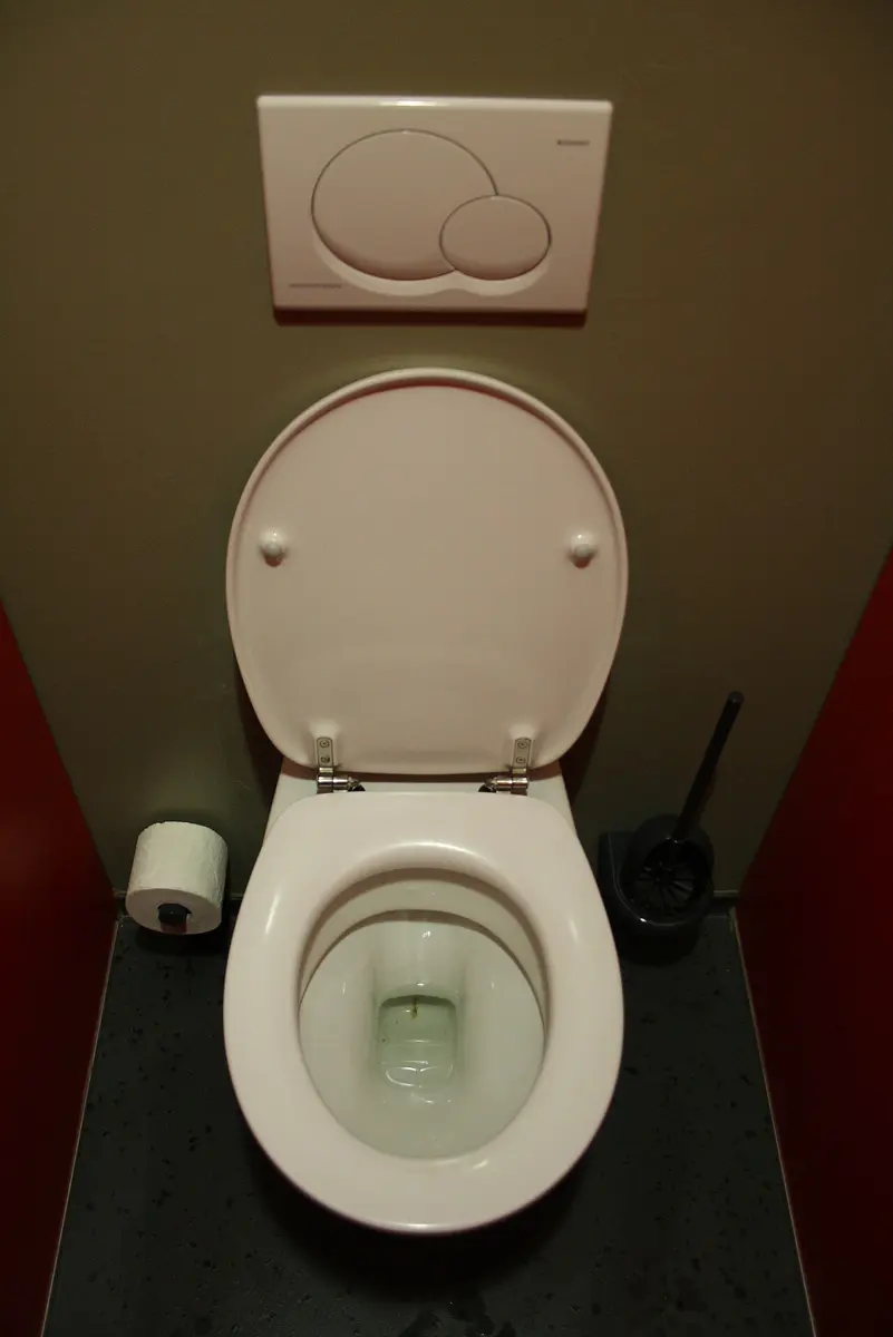 A nice clean toilet. Image: Usein.
