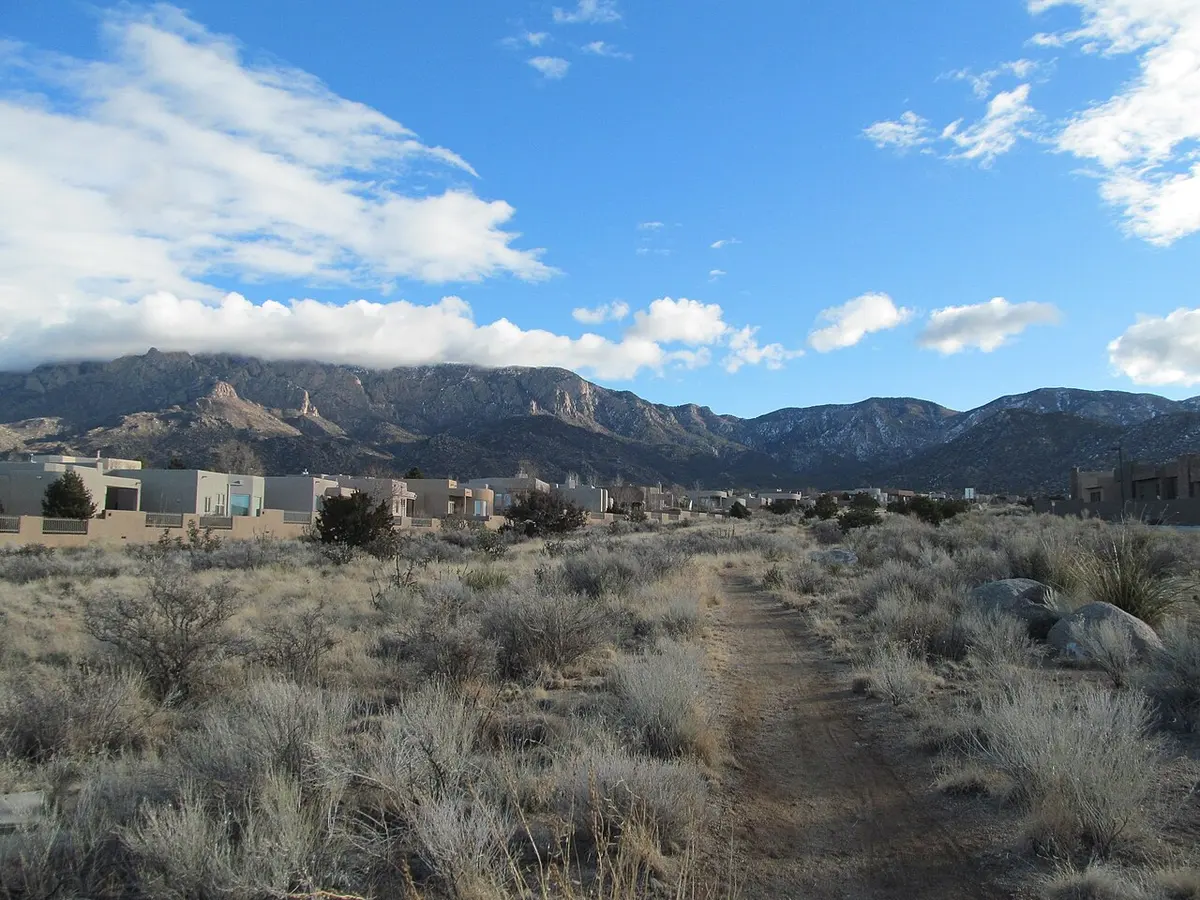 New Mexico desert Image: John Phelan.