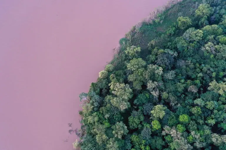 Amazon rainforest in Brazil.
