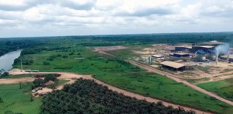 Aerial view of Biopalma’s Castanheira mill and palm plantation just a few meters away from the Acará River, in Tomé-Açu municipality, in northern Amazon’s Pará state, on November 12, 2019. Image by Wilson Paz for Mongabay.
