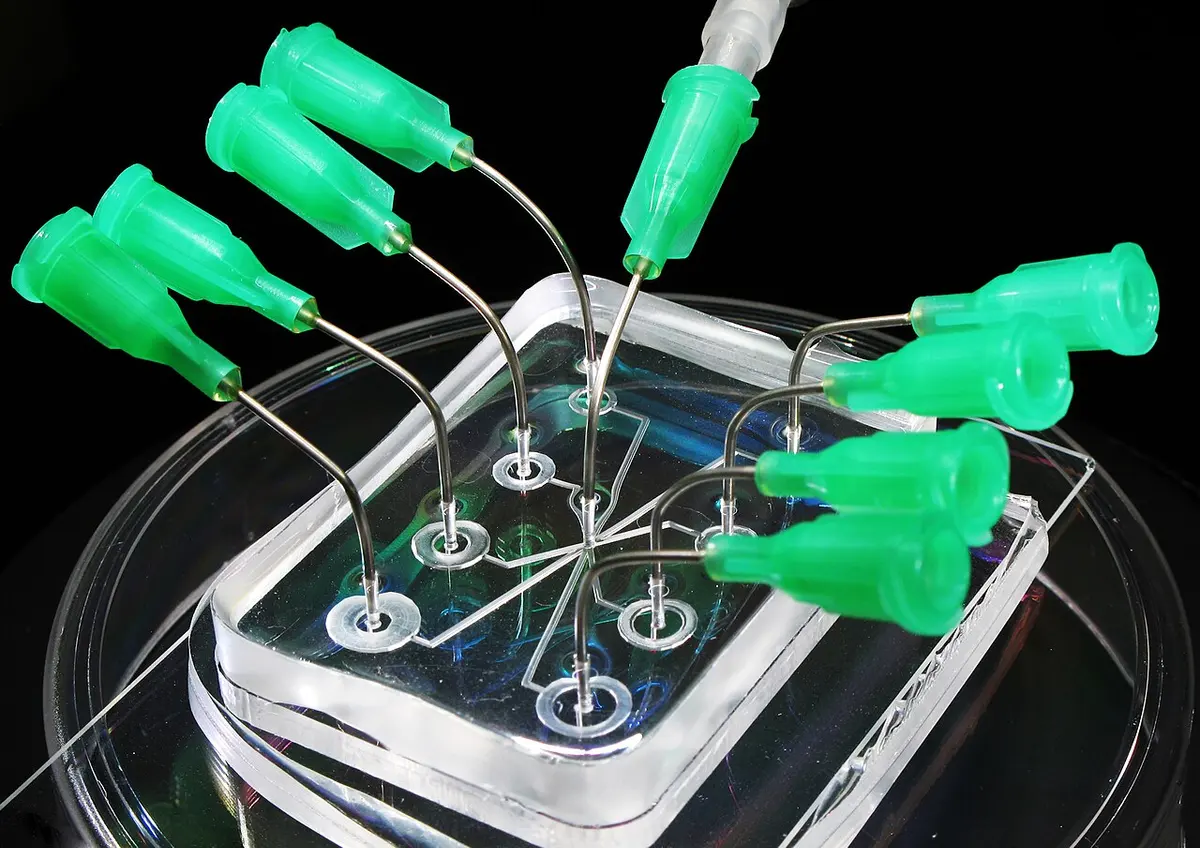 Most labs on chips, like this microfluidics chip, require time and expert staff to manufacture.Image: National Institute of Standards and Technology.