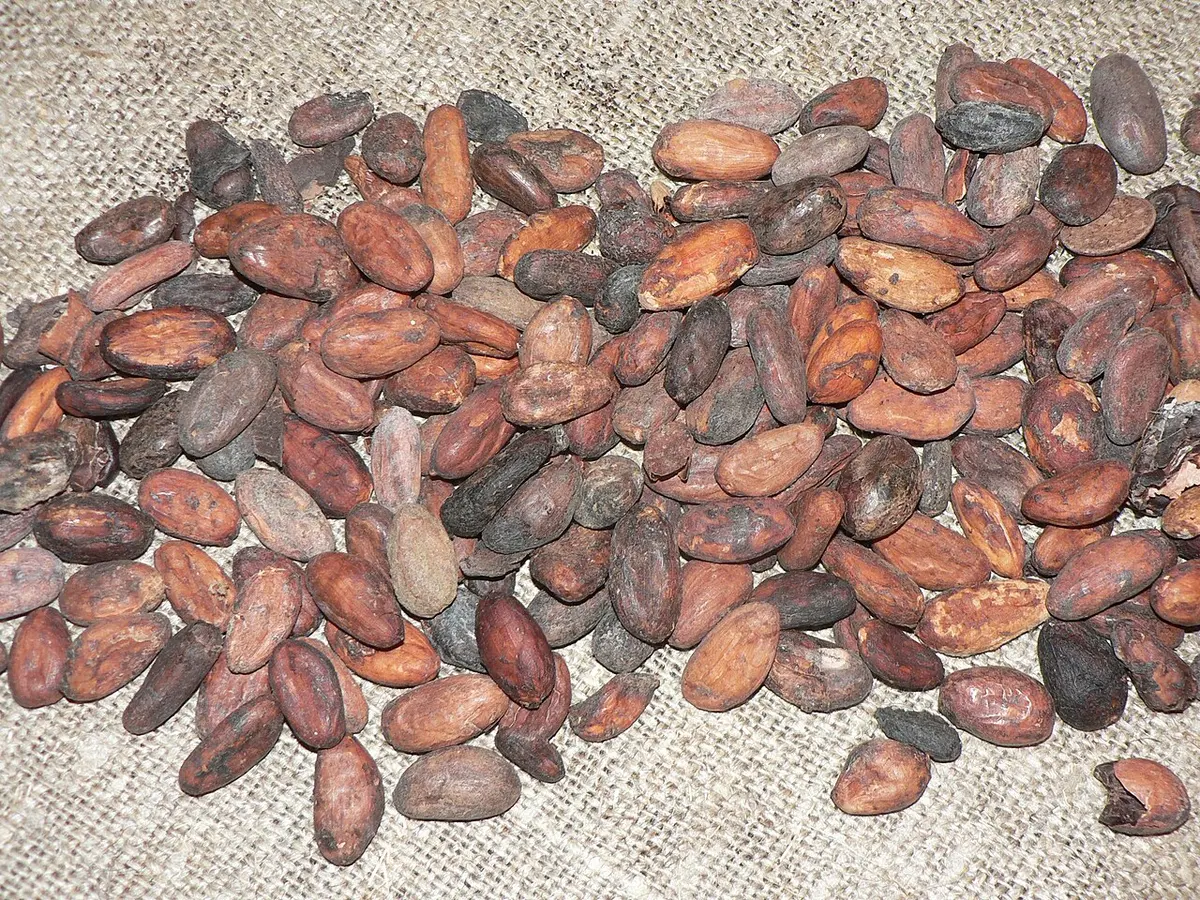 The Ivory Coast produces a third of the world's cocoa supply. Image: David.Monniaux.