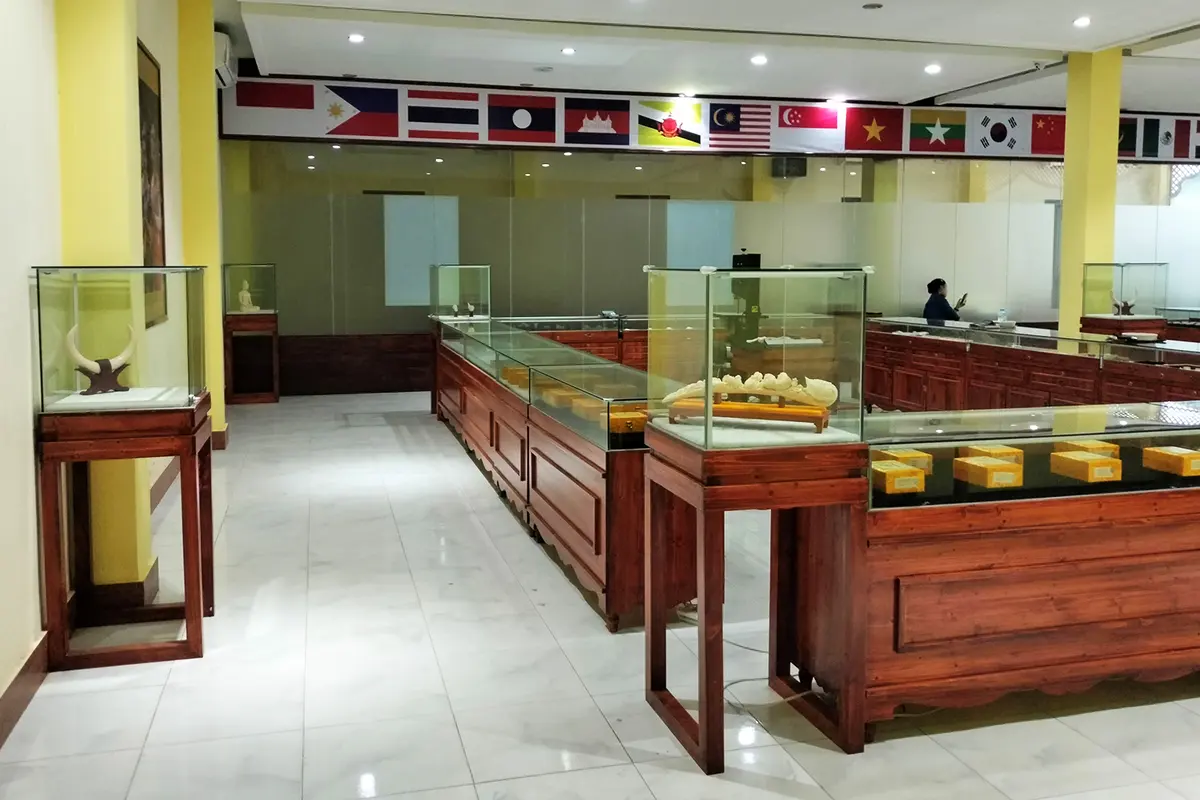 Large ivory carvings, some made from a single tusk, were seen for sale in June 2025 at Ancient Giftshop, which also goes by Agarwood Museum in Luang Prabang. 