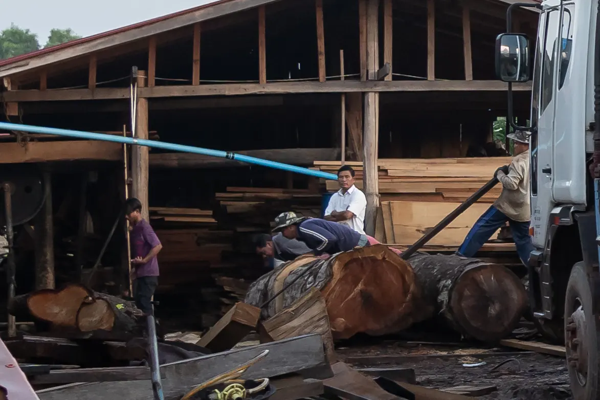 Yous Pros oversees a logging operation that he operates from inside the Koh Kong provincial prison.