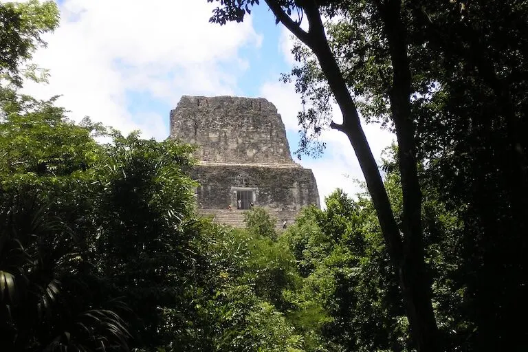 A Mayan monument almost hidden by trees flourishing around it in Guatemala’s Tikal National Park, which is buffered from the wider world by timber concessions held by local communities, where deforestation rarely happens. Image courtesy of Douglas Southgate.