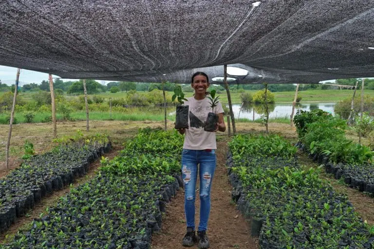 Catherine Toro, President of Asociación Agroambiental Perú Contigo, holds tree seedlings destined for her community’s restoration project in Ayapel, Córdoba. Image by Begi Rojas Duarte for Mongabay.