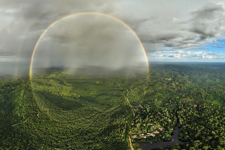A full-circle rainbow arcing over a vast oil palm plantation in Jambi, Indonesia, carved out of what was once native rainforest. Image by Rhett A. Butler/Mongabay.