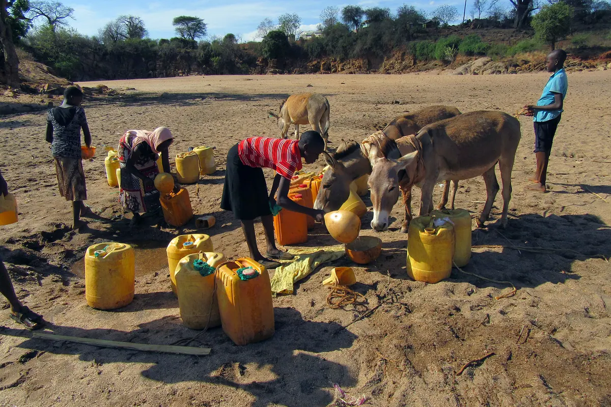 Kenyan women struggle to benefit from just-transition policies