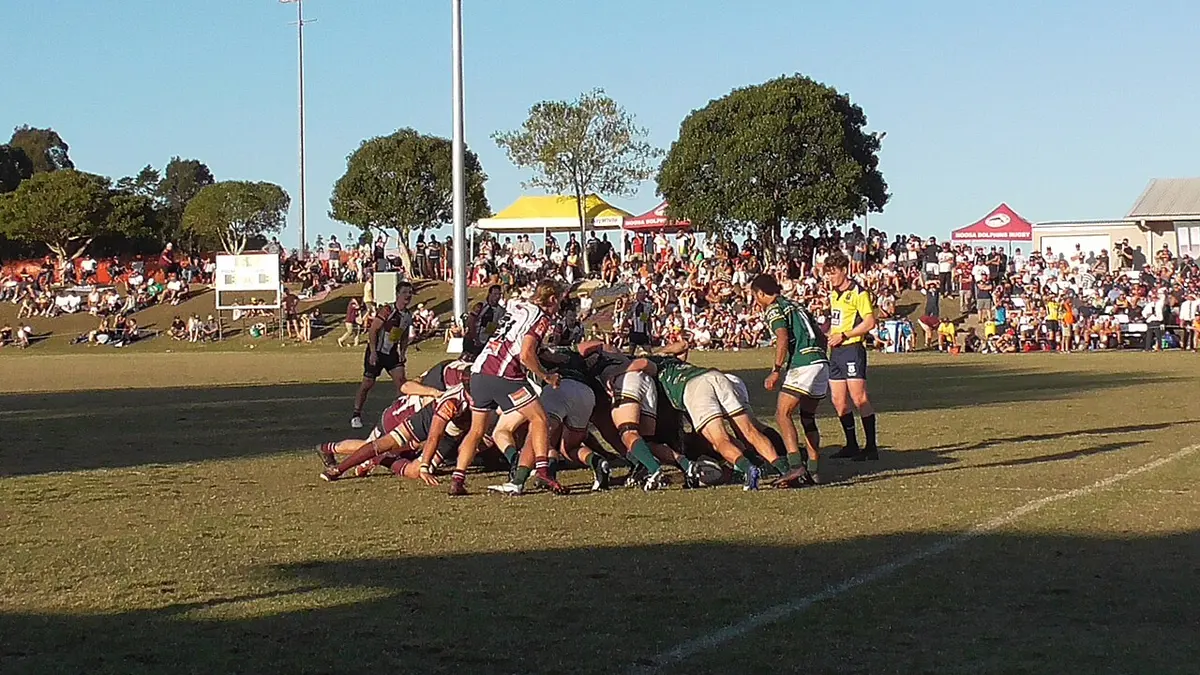 University (in green shirts) were able to repel Noosa's attempts to score. They dominate a scrum here. Image: Patrick Gillett.