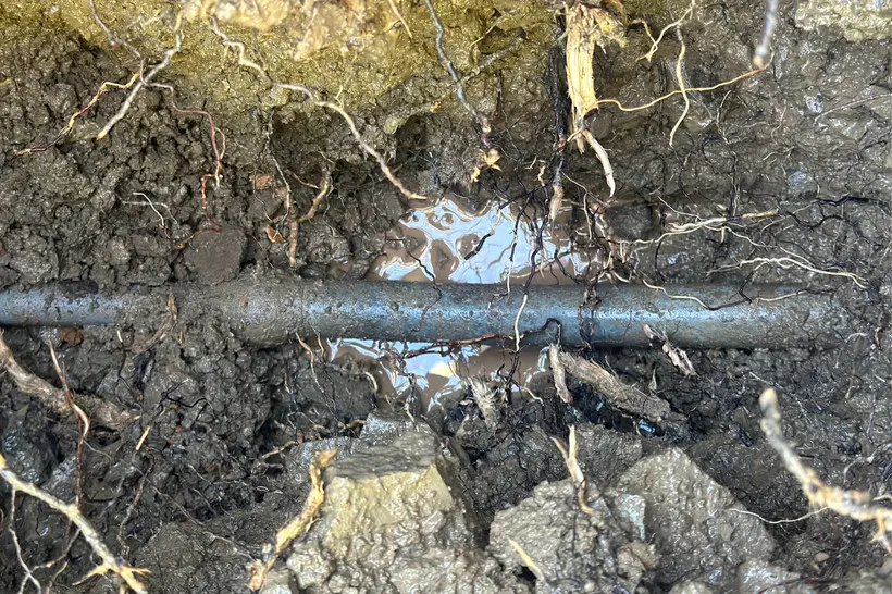 A photograph taken directly down into the ground, showing an excavated lead pipe running through muddy earth, with tree roots and rocks visible.