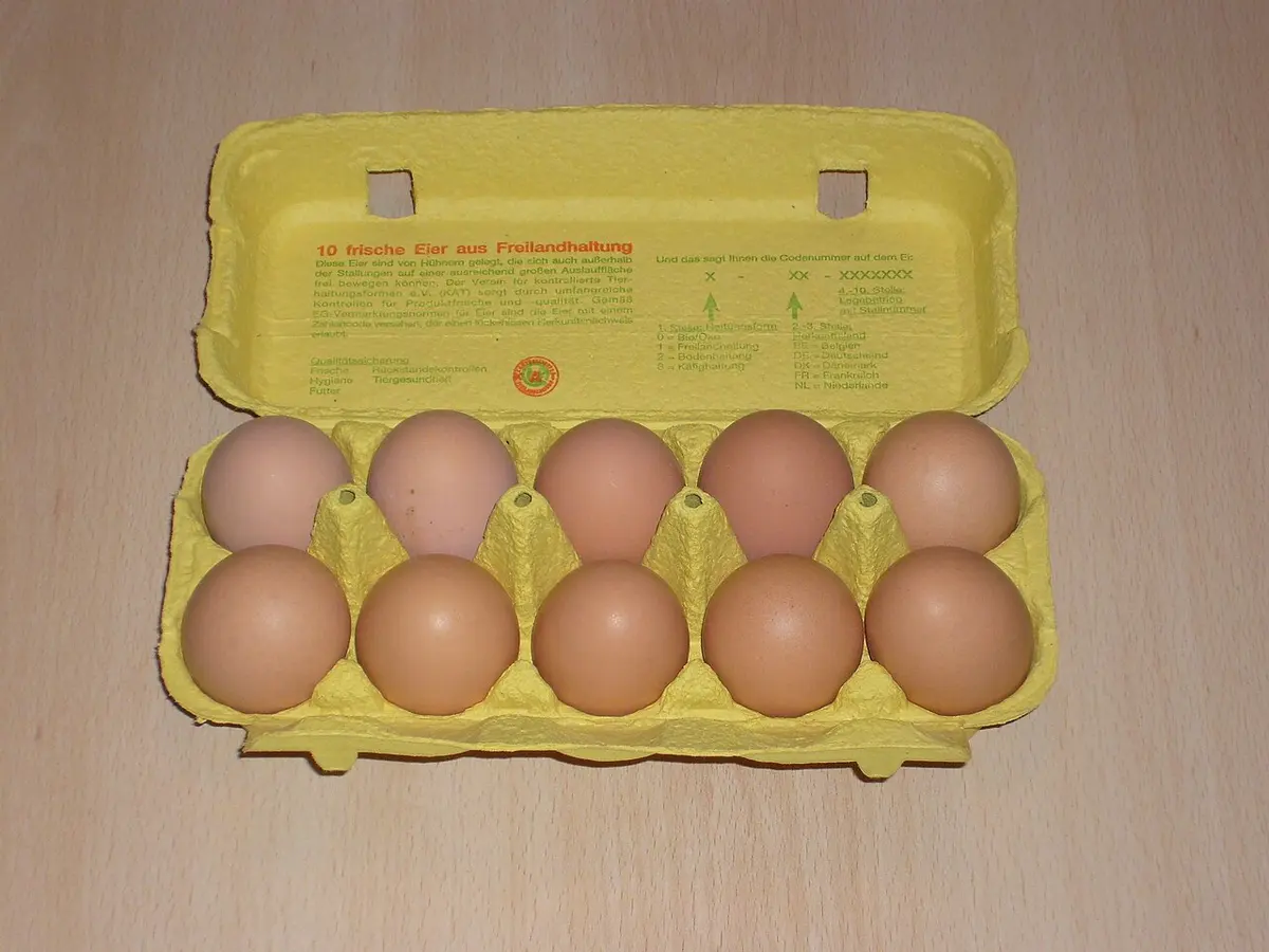 380 million eggs have been recalled for salmonella in the US.Image: Schnee.