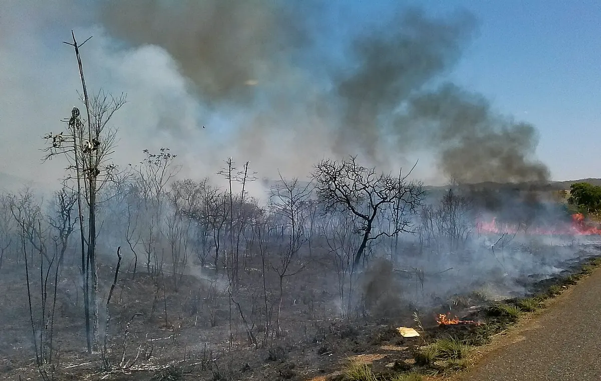 Wildfire during Brazil's dry season on September 20, 2015. Image: Agência Brasil.