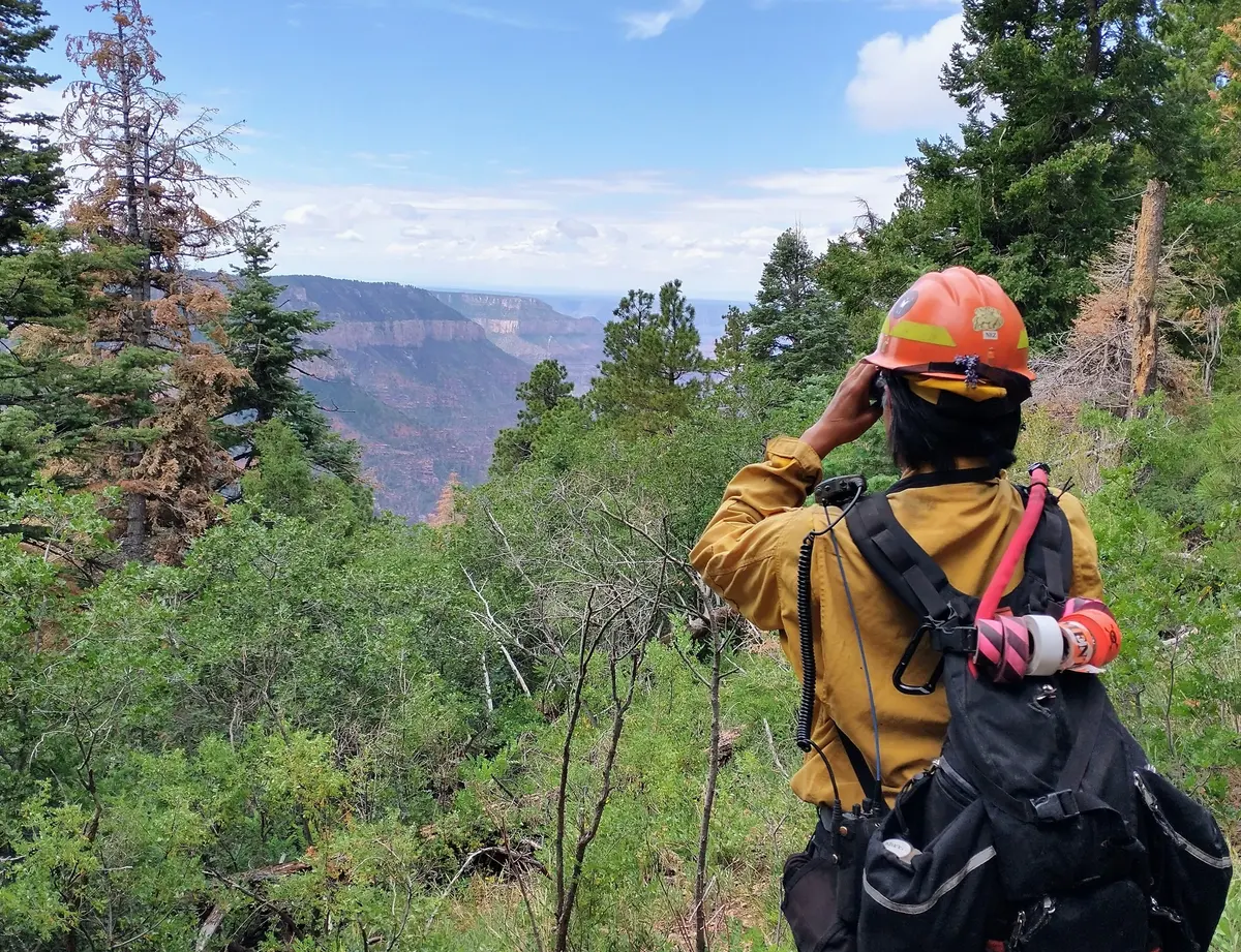 Closure areas open on the North Rim of Grand Canyon National Park following the Dragon Fire