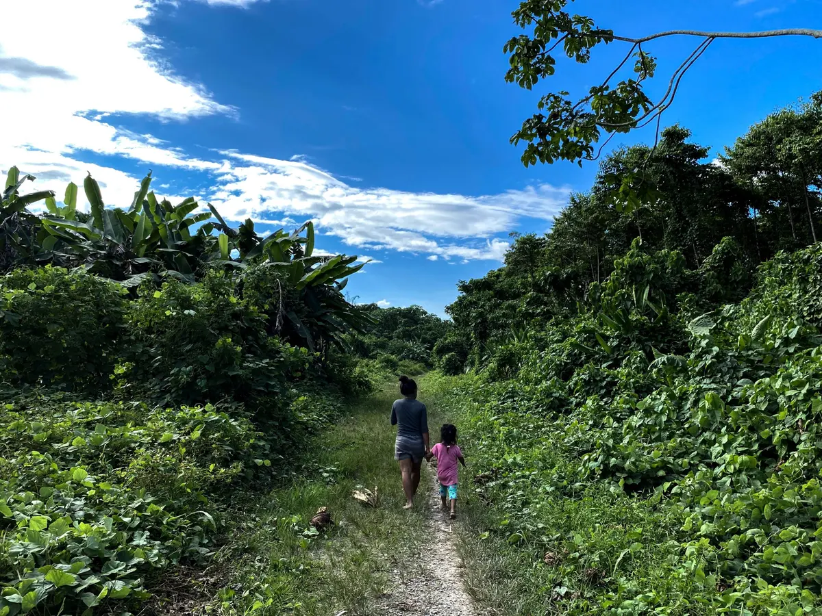 In the Indigenous community of Galilea, drug traffickers abandoned this airstrip a year ago. But they could revive it at any time. Image by Mongabay Latam.