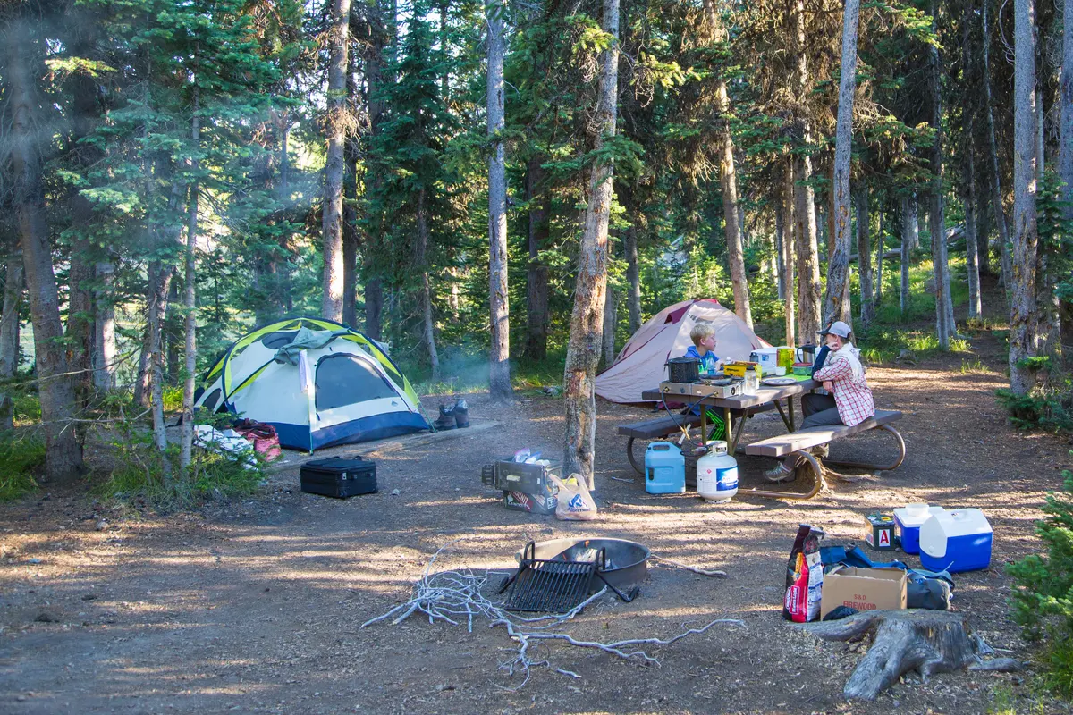 Campsite at Lewis Lake Campground NPS / Neal Herbert