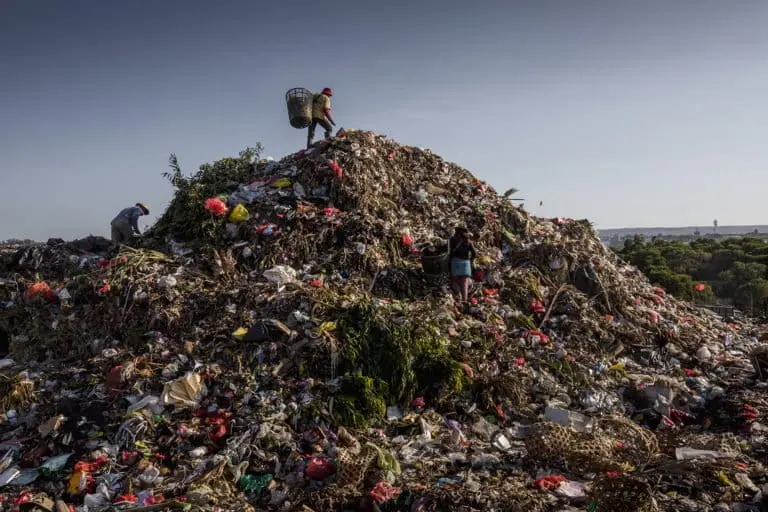 A trash picker looks for recyclable plastics at a waste dump in Bali. Image by Jonas Gratzer for Mongabay.