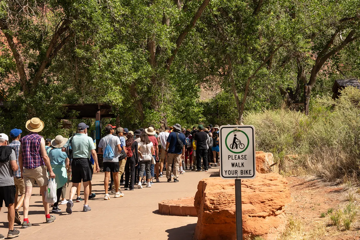 Shuttle lines at Zion National Park during Memorial Day weekend 2025. NPS Photo / Wil Marischen