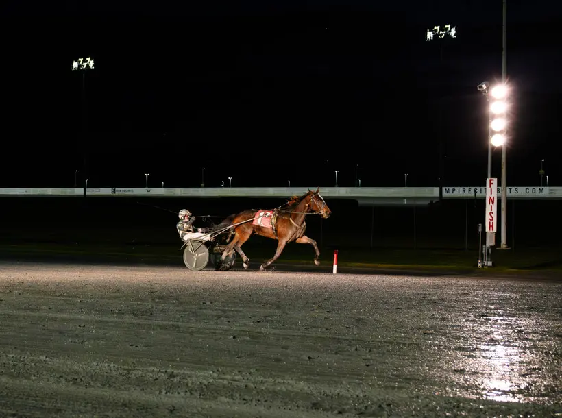 A horse and driver approach the finish line at Yonkers Raceway, December 19, 2025. | Katie G. Nelson / New York Focus