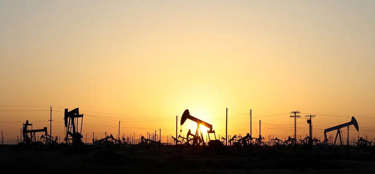 Oil field located in Lost Hills in California Image: Arne Hückelheim.