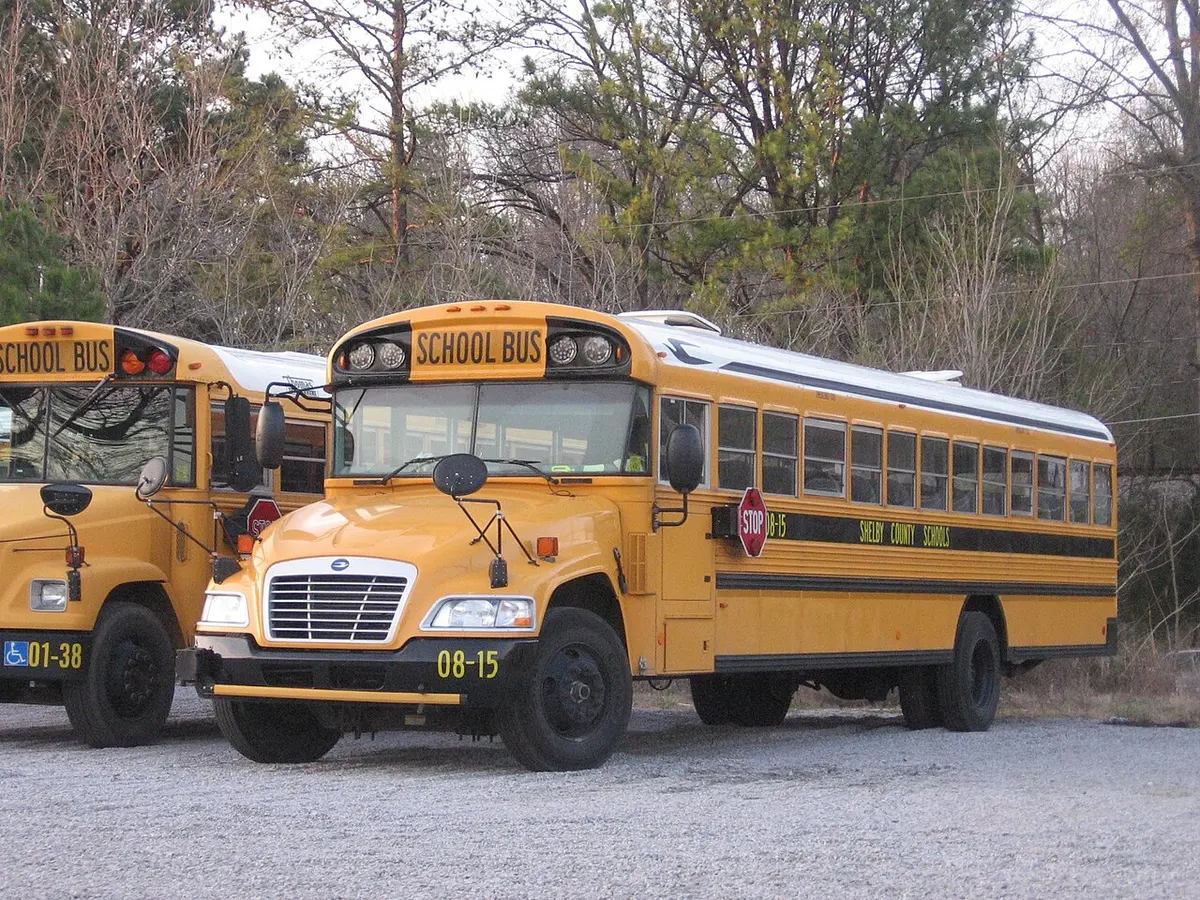 Pair of Blue Bird school buses