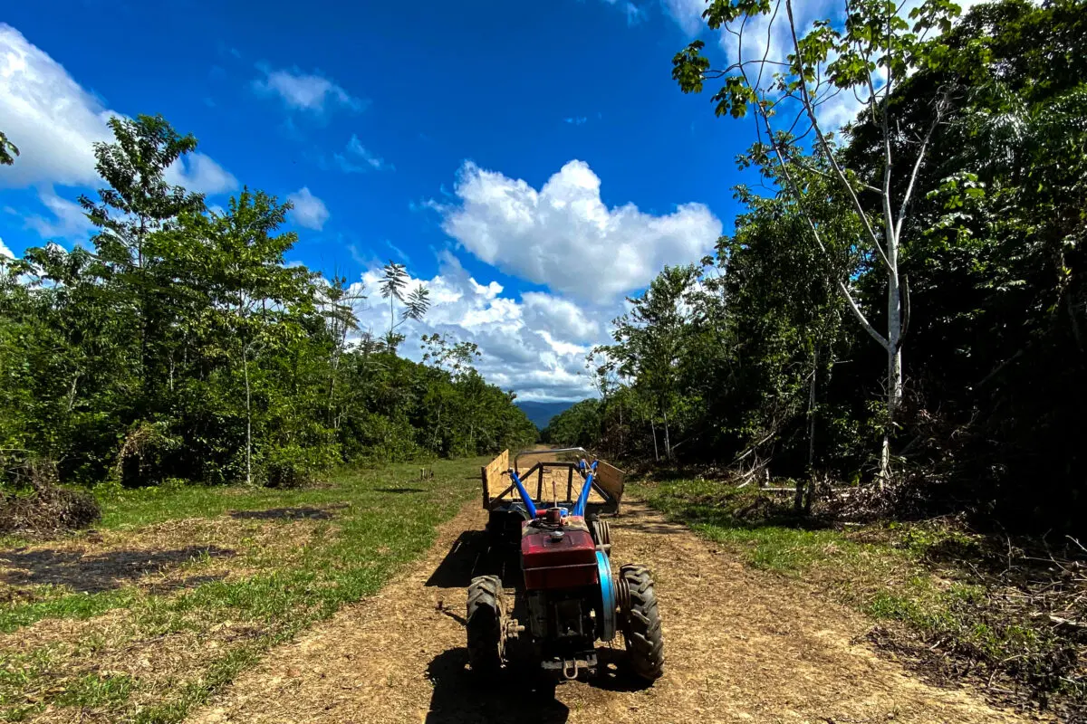 Opening and maintaining illegal airstrips has become a business in itself in Ucayali, a region in the Peruvian Amazon. Image by Mongabay