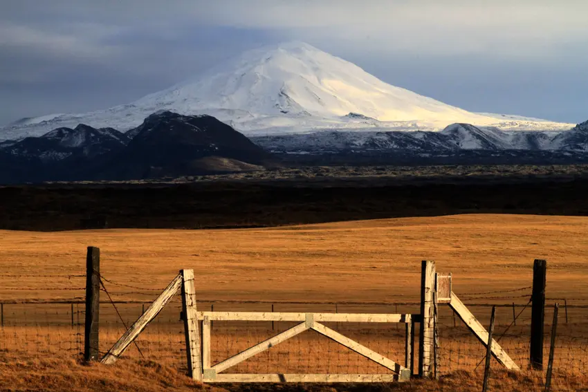 A gated field with a snowcovered Hekla in the background Image: Sverrir Thorolfsson.