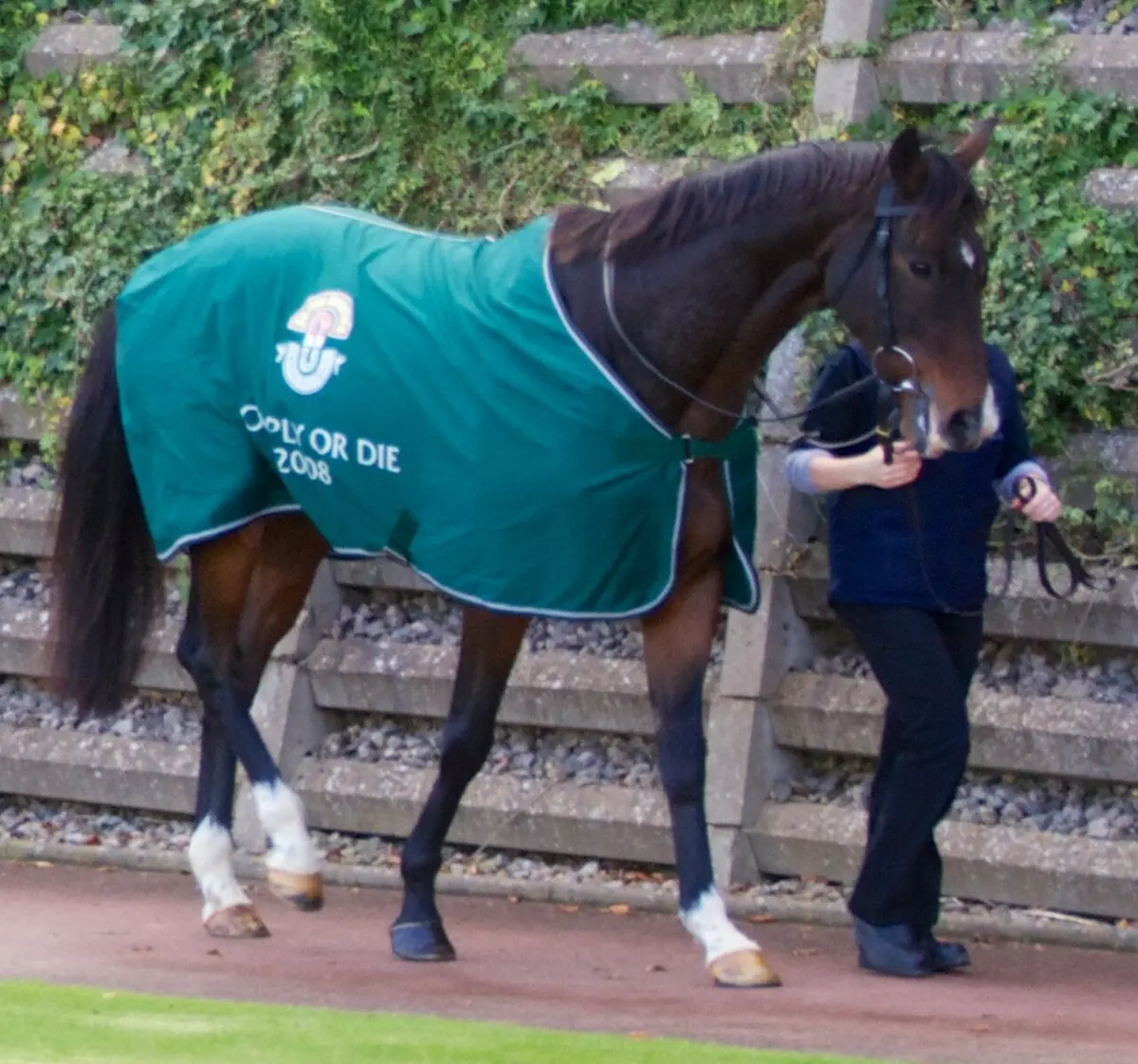 Comply or Die won the 2008 Grand NationalImage: Dan Heap.