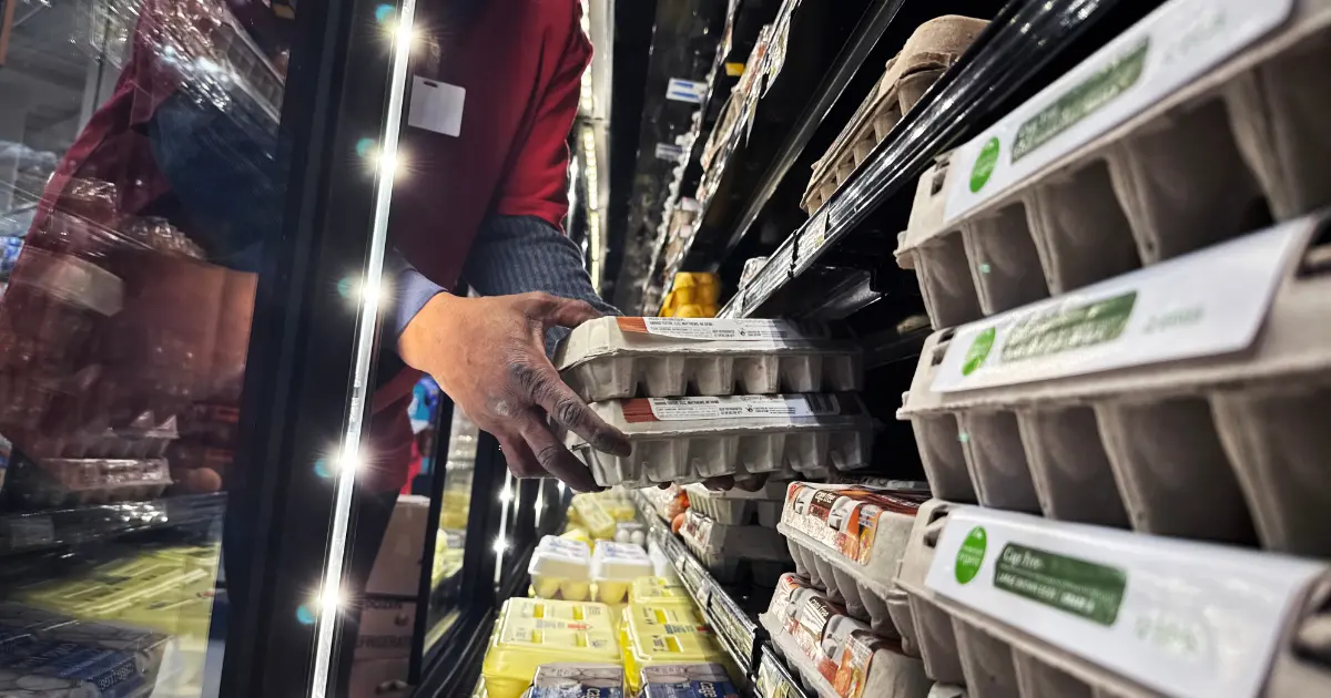A person putting away eggs Photo: Tom Williams/CQ-Roll Call, Inc via Getty Images, via Sentient.