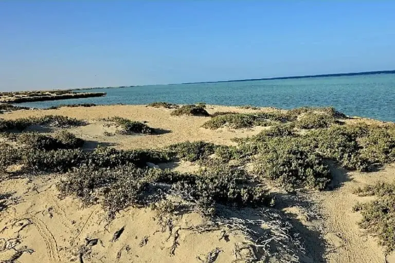 Red Sea coastal landscape. Image courtesy of Marwan Mahmoud Kamal Hamdoun.