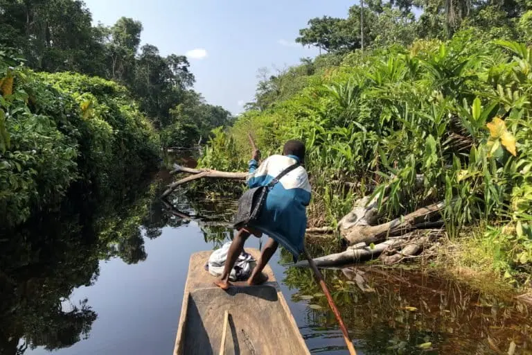 A dugout canoe crossing a wetland in Basoko territory, northern DRC. The Congo Basin has the world’s largest tropical peatlands, a type of forested wetlands that lock billions of tons of carbon in the soil, accumulated as semi-decayed organic matter over thousands of years. Image by Gloria Pallares/El País.