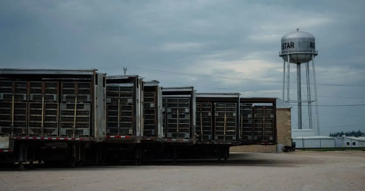 The AgriStar meat and poultry plant in Pottsville, Iowa Credit: Ryan Christopher Jones/For The Washington Post via Getty Images via Sentient.