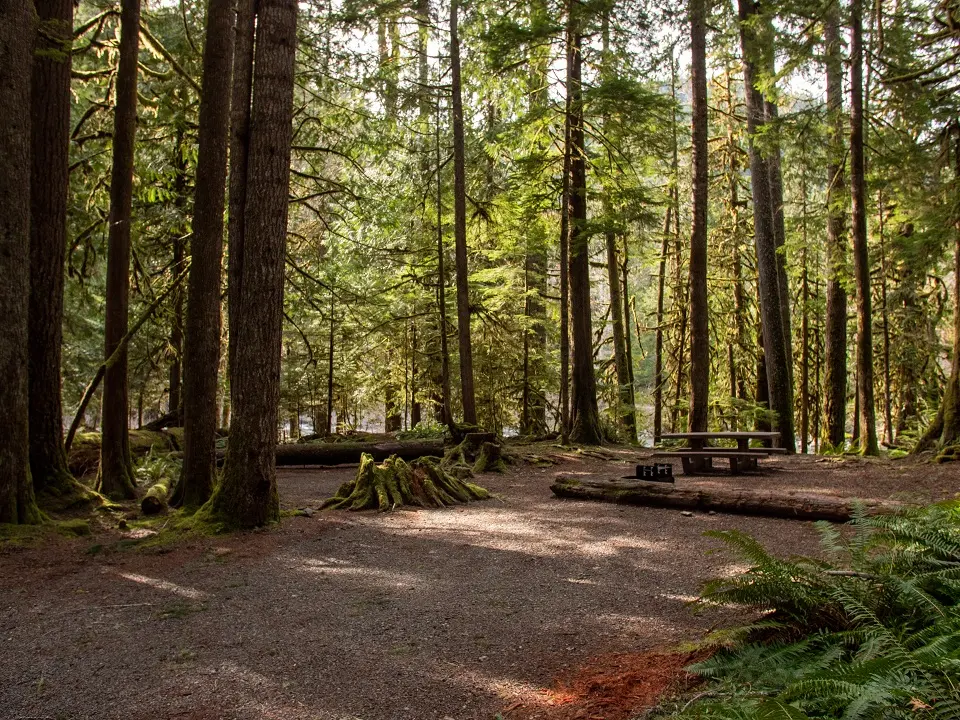 New reservation system coming to Staircase Campground at Olympic National Park
