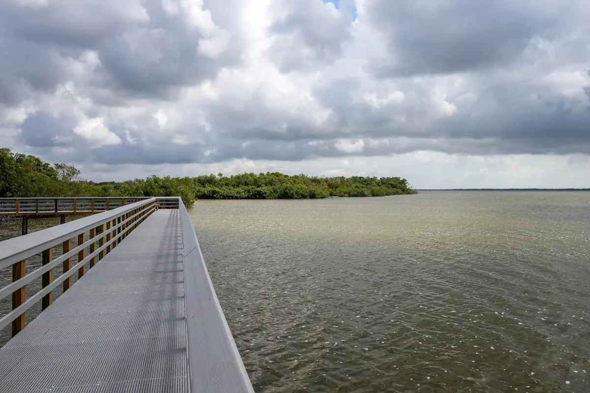 Newly constructed boardwalk on West Lake Trail (2022). Photo credit: NPS photo by Federico Acevedo