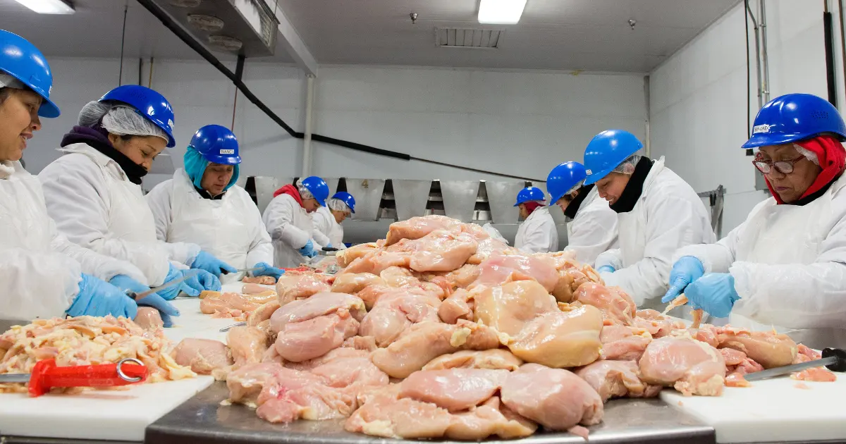 Poultry cutters working in a chilled room with a pile of raw meat Credit: Leonard Ortiz/Digital First Media/Orange County Register via Getty Images via Sentient.