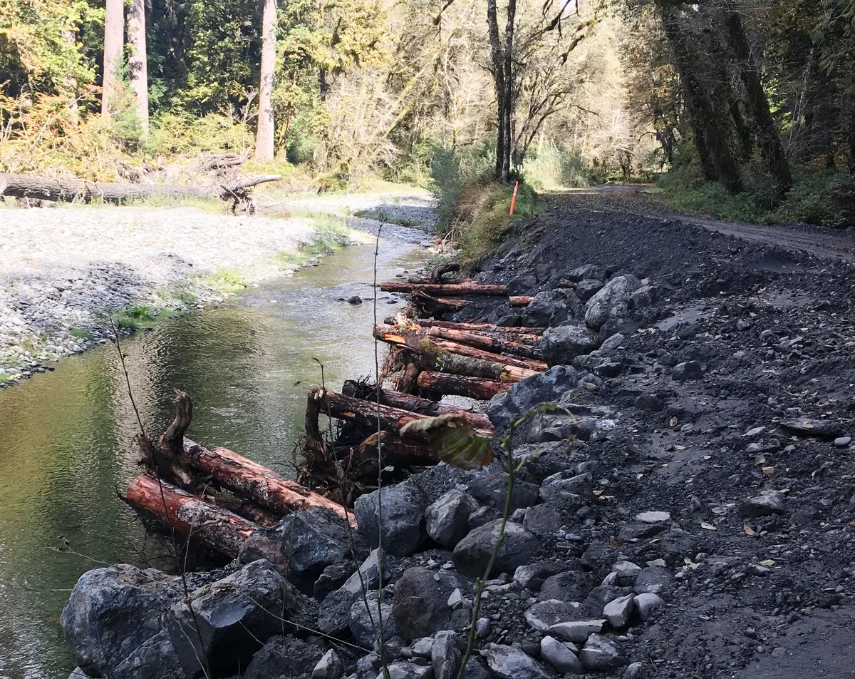 Graves Creek Road in Quinault Valley Reopened to Vehicle Access