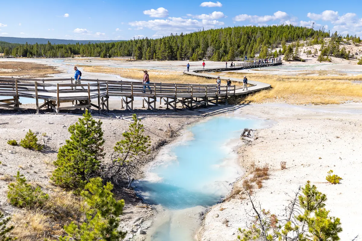 Norris Geyser Basin Trail: views of Sunday Geyser from the boardwalks NPS / Jacob W. Frank
