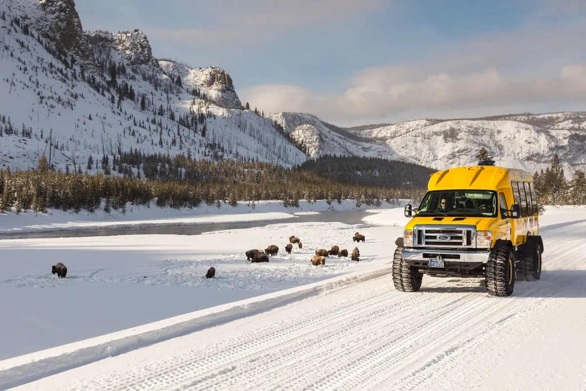 Snowcoach along the Madison River with bison NPS / Jacob W. Frank