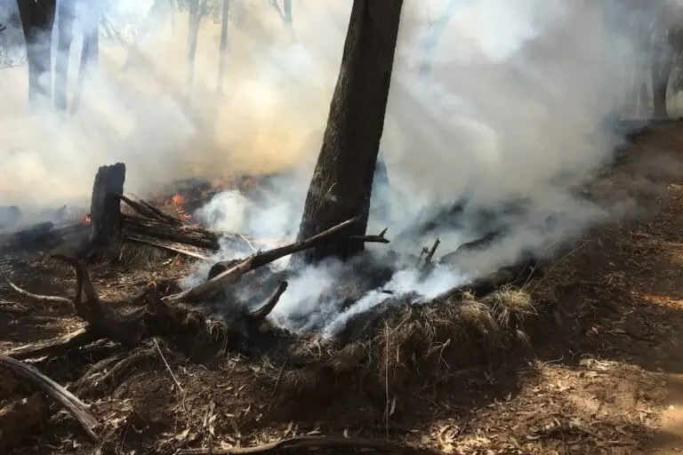 A controlled burn in northeastern Victoria to reduce fuel load before summer fire season. Image courtesy of Michael Reid.