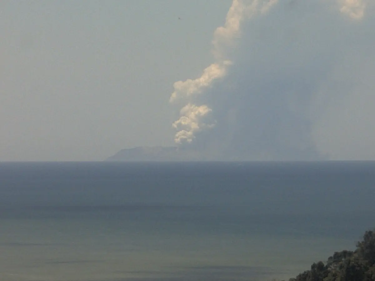 View of the 2019 Whakaari / White Island eruption from Whakatane at 14:20, 9 minutes after the start of the eruption.Image: GNS Science (formerly Institute of Geological and Nuclear Sciences Ltd.).
