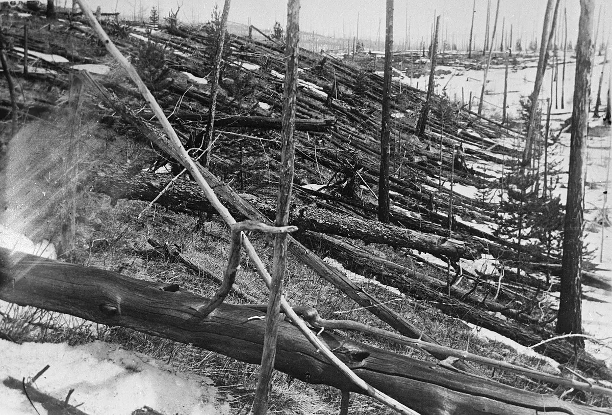 A photo of the aftermath of the 1908 Tunguska event, where an atmospheric explosion flattened and burned approximately 80 million trees across 2,150 square kilometers of remote Siberian forest.Image: Leonid Kulik, the expedition to the Tunguska event.