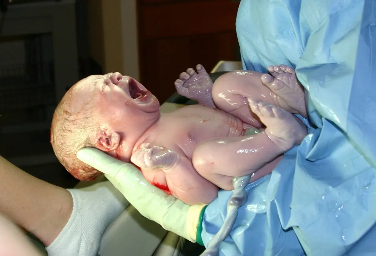 New born Image: Ernest F.