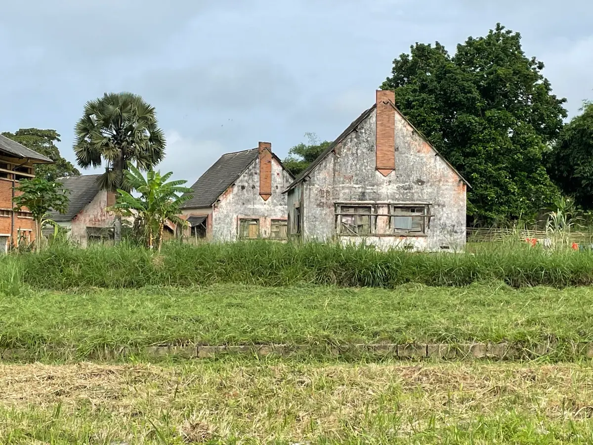 Houses for Belgian workers of the the National Institute for Agronomic Studies and Research (INERA). Image courtesy of Fergus O’Leary Simpson.