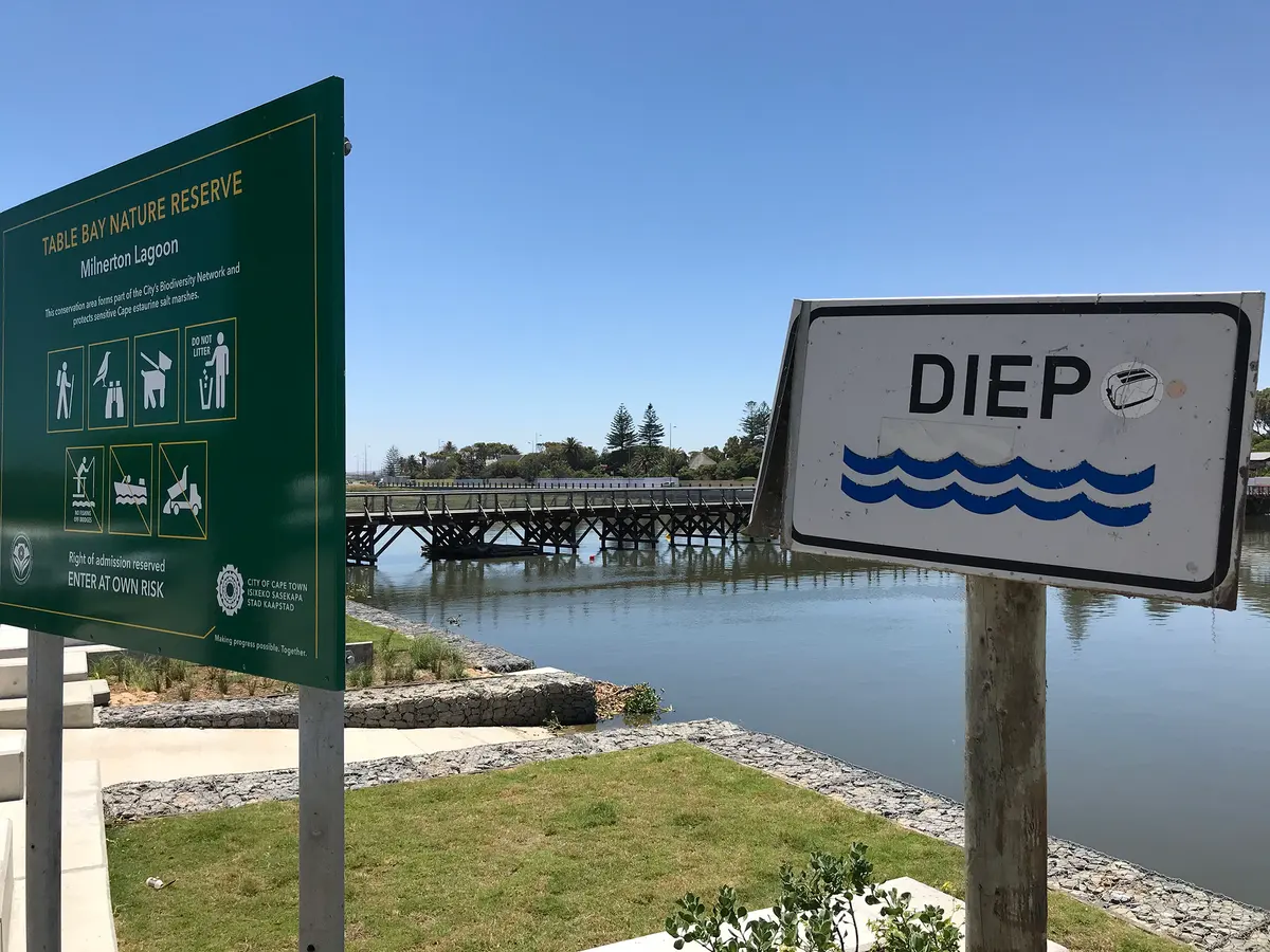 The Milnerton Lagoon, which is an estuary formed by the Diep River, remains highly polluted fours years after the Western Cape environmental inspectorate ordered the City of Cape Town to clean it up. Archive photo: Steve Kretzmann