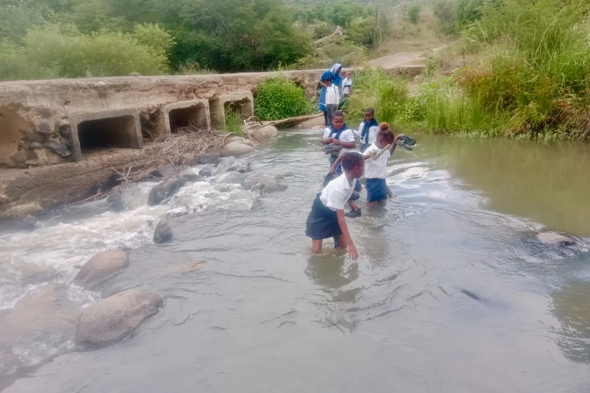 Learners from Felrom Mfityini village, outside Fort Beaufort, hold hands as they cross a river to get to school. Photo: Loyiso Dyongman