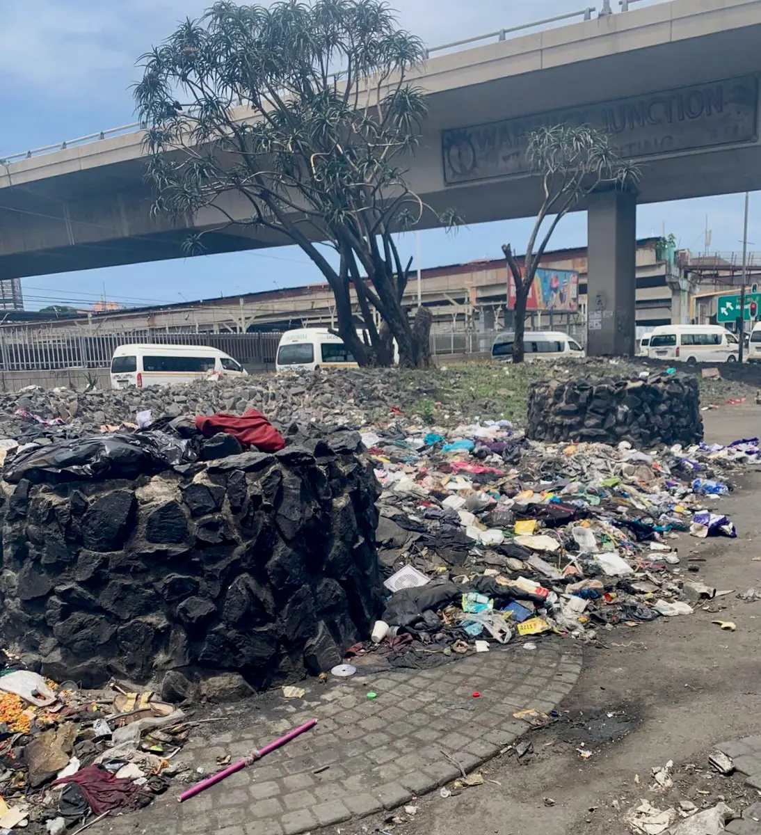The area near Ematsheni. Photo: Jesse Copelyn
